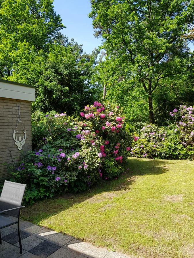 Bungalow Hartje Veluwe Otterlo Exterior foto
